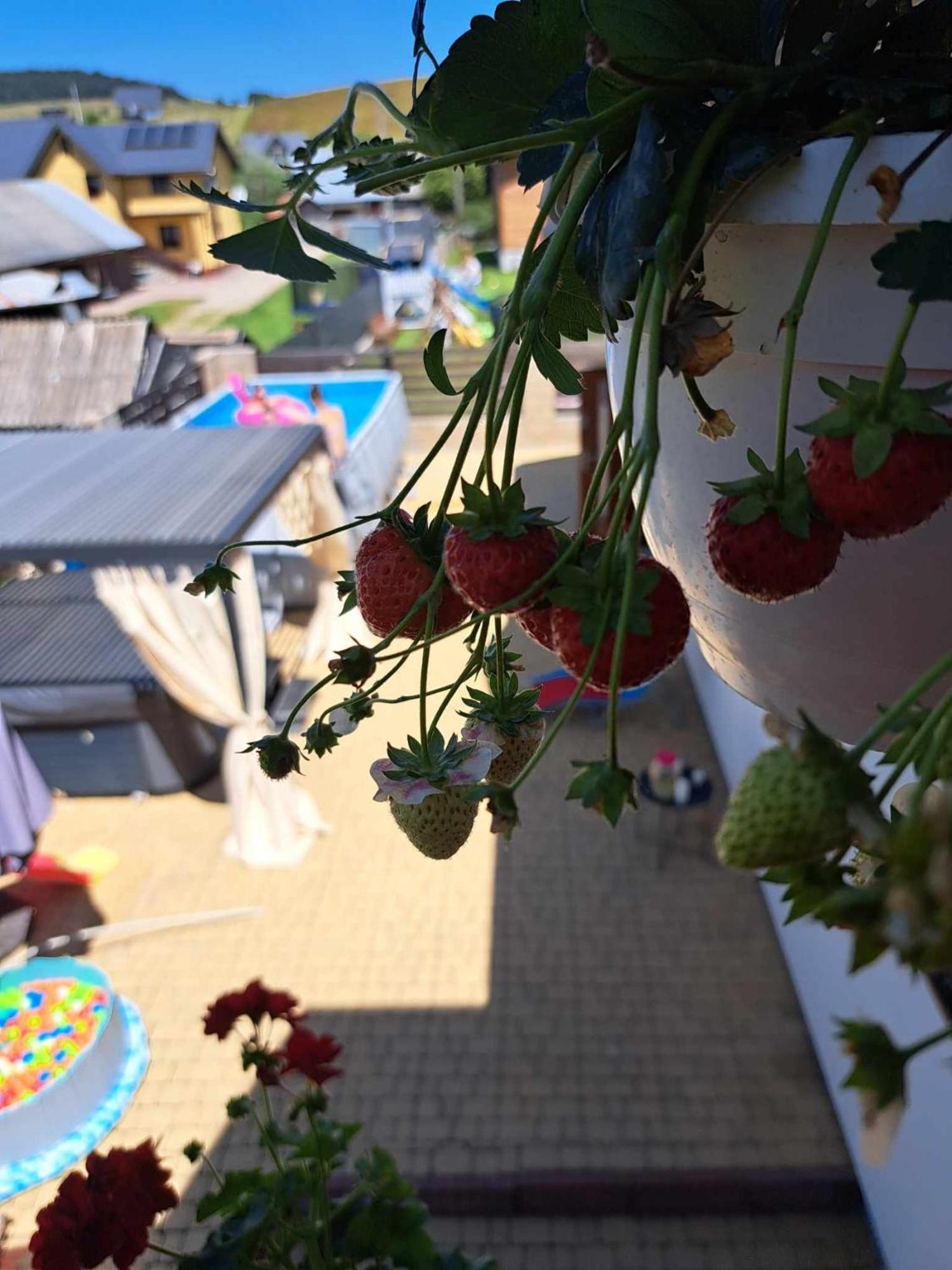 Apartamenty Maja Tylicz Luaran gambar