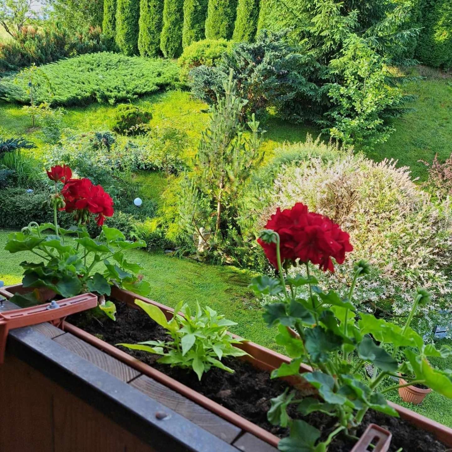 Apartamenty Maja Tylicz Luaran gambar